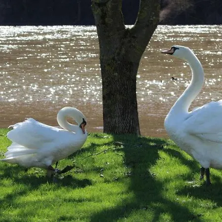 Luka アパート
